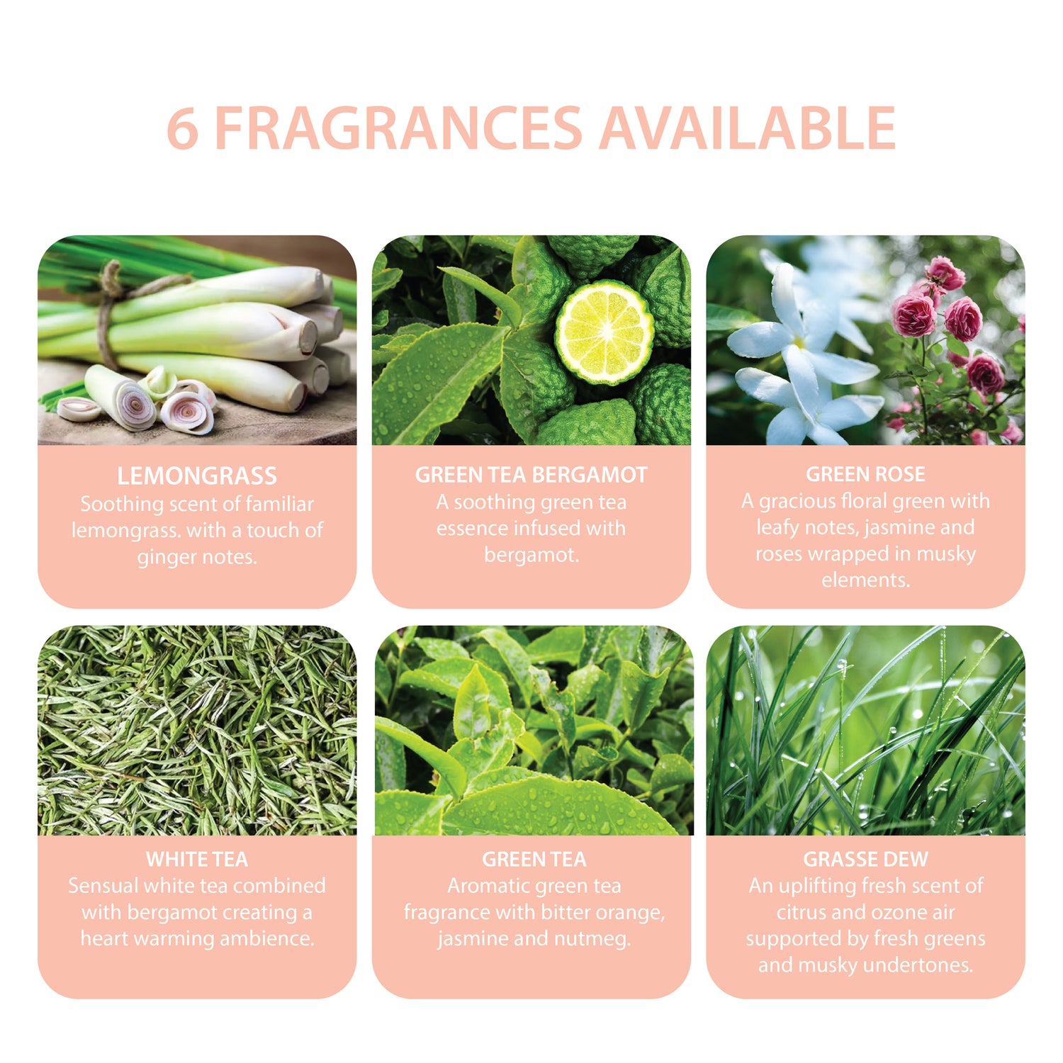 Scent Fresh® Parfum Room Spray  6 x 500ml Bottles per carton