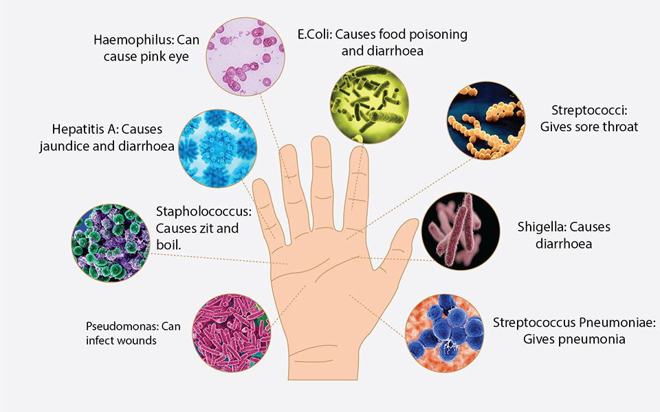 Labgs Germ Germs Bacteria From Hands Free Vectors | Germs On Hands 2