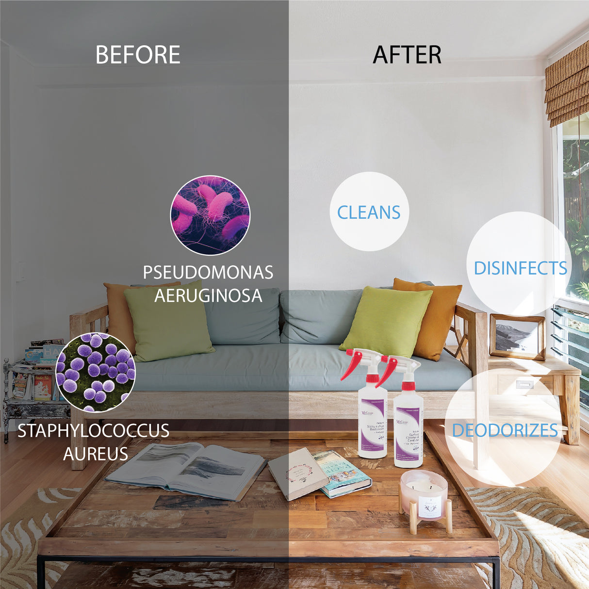 McClean® DeGerm Spray n Wipe Bactericide – Fresh Lavender